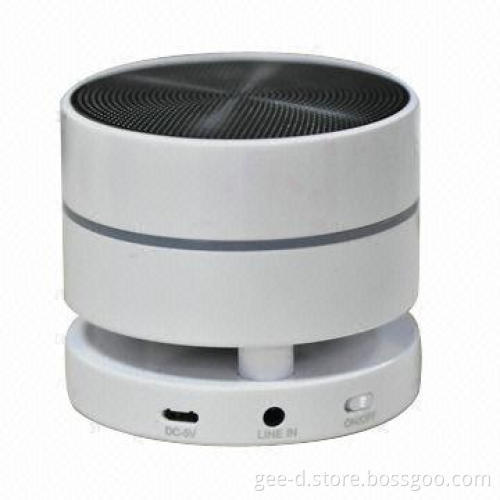 Mini Bluetooth Speaker with Remote Control/FM Radio, Supports T-Flash Card,Handsfree Phone